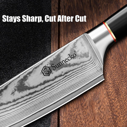 Damascus Paring Knife,Japanese VG10 Core Steel Damascus Fruit Knife,Professional Razor Sharp Small Kitchen Knives with Knives Sharpner
