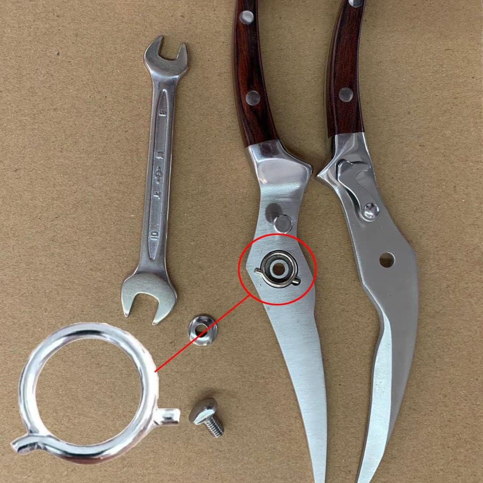 5 Pack Poultry Shears Spring Replacement Kitchen Shears Springs Loaded Ring Parts for Heavy Duty Kitchen Scissors Meat Shears (Wire1.8mm / OD15mm / ID12MM)