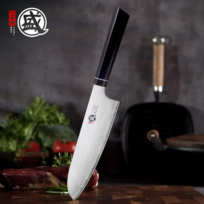 Gyuto Chef Knife 8 Inch, Japanese VG-10 Hand Forged Kitchen Knife for Meat & Vegetables, G10 Handle with Sandalwood Box