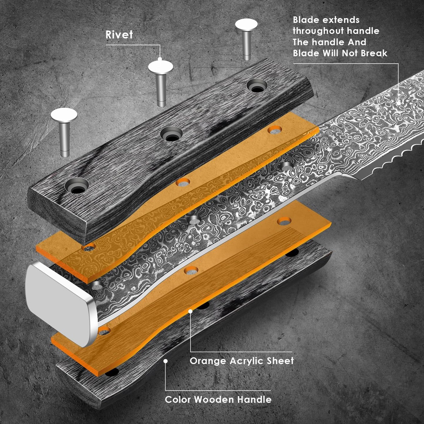 Kuwata Bread Knife, Multifunction Serrated Knife, VG10 Damascus Steel Bread Cutting Knife for Homemade Bread, Razor Sharp Edge for Efficient Slicing Sourdough Bread, Bagels, Cake