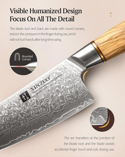 8.3 Inch Chef Knife 73 Layer Damascus Powder Steel, Professional Kitchen Cooking Knife Gyuto Knife, Hand Forged Sharp Blade Slicing Knife with Olive Wood Handle -Lan Series