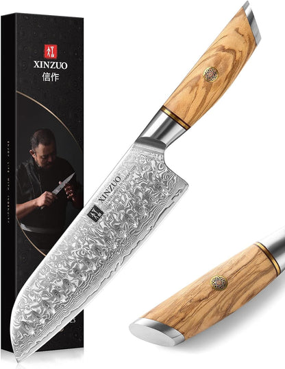 8.3 Inch Chef Knife 73 Layer Damascus Powder Steel, Professional Kitchen Cooking Knife Gyuto Knife, Hand Forged Sharp Blade Slicing Knife with Olive Wood Handle -Lan Series
