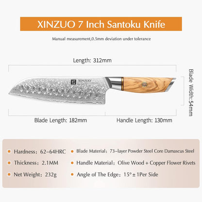 8.3 Inch Chef Knife 73 Layer Damascus Powder Steel, Professional Kitchen Cooking Knife Gyuto Knife, Hand Forged Sharp Blade Slicing Knife with Olive Wood Handle -Lan Series
