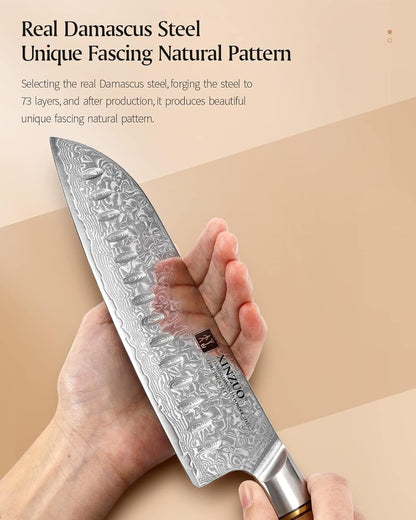 8.3 Inch Chef Knife 73 Layer Damascus Powder Steel, Professional Kitchen Cooking Knife Gyuto Knife, Hand Forged Sharp Blade Slicing Knife with Olive Wood Handle -Lan Series