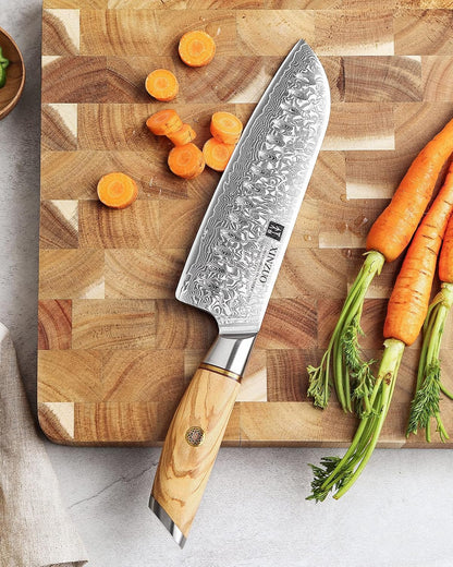 8.3 Inch Chef Knife 73 Layer Damascus Powder Steel, Professional Kitchen Cooking Knife Gyuto Knife, Hand Forged Sharp Blade Slicing Knife with Olive Wood Handle -Lan Series