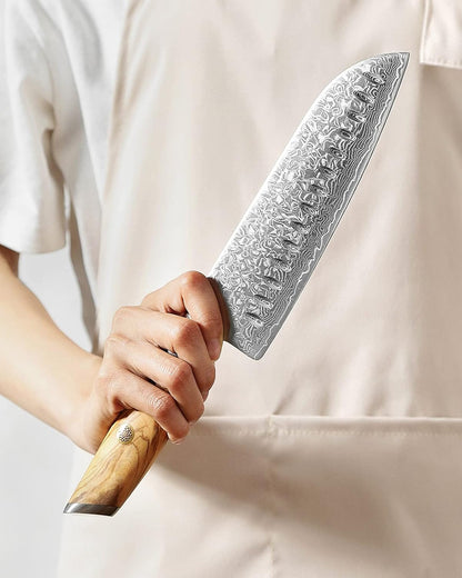 8.3 Inch Chef Knife 73 Layer Damascus Powder Steel, Professional Kitchen Cooking Knife Gyuto Knife, Hand Forged Sharp Blade Slicing Knife with Olive Wood Handle -Lan Series