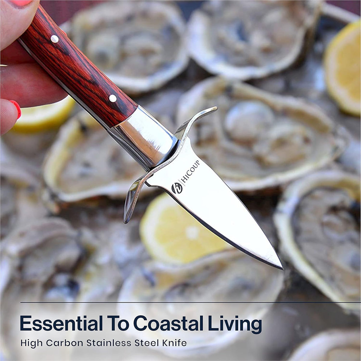 HiCoup Oyster Shucking Knife and Glove Kit - Clam and Oyster Knife Shucker Set with Stainless Steel Seafood Opener Tool, Wood Handle and Gloves