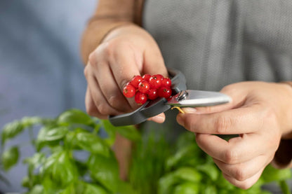 Kitchen Shears Universal | Herb Stripper, Twist-Off Lid Opener, Micro-Serrated Blades, Self-Sharpening Blade