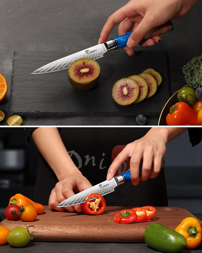 5PCS Damascus Knife Set, 5" Paring, 6" Boning, 7" Santoku, 8" Chef & Bread | 67-Layers Damascus Steel, Galaxy Pattern Resin Handle, All-in-One 5-Piece Kitchen Knife Set for All Daily Prep Tasks