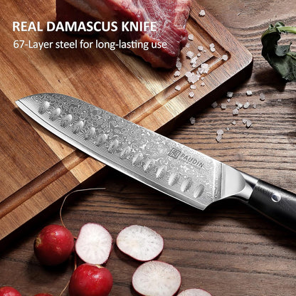 Chef Knife 8 Inch, 67-Layer Japanese VG10 Steel Core Damascus Kitchen Knife, Razor Sharp Japanese Chef Knife with Ergonomic G10 Handle for Home, Restaurant