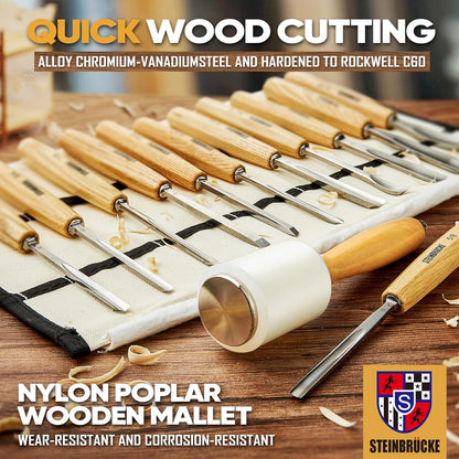 Wood Carving Kit, Wood Carving Tools Set of 12 Chisels and Mallet with Canvas Case Gouges, Wood Whittling Kinves Kit, Carving Knife Set, Woodworking Chisel Set for Beginners, Professionals