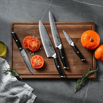 Empira 5 Piece Damascus Kitchen Knife Set With Magnetic Block | VG-10 Damascus Steel, Full Tang, Ultra Sharpness, Ergonomic ABS Handle, Strong Magnetic Block, Ideal Gift For Passionate Chef