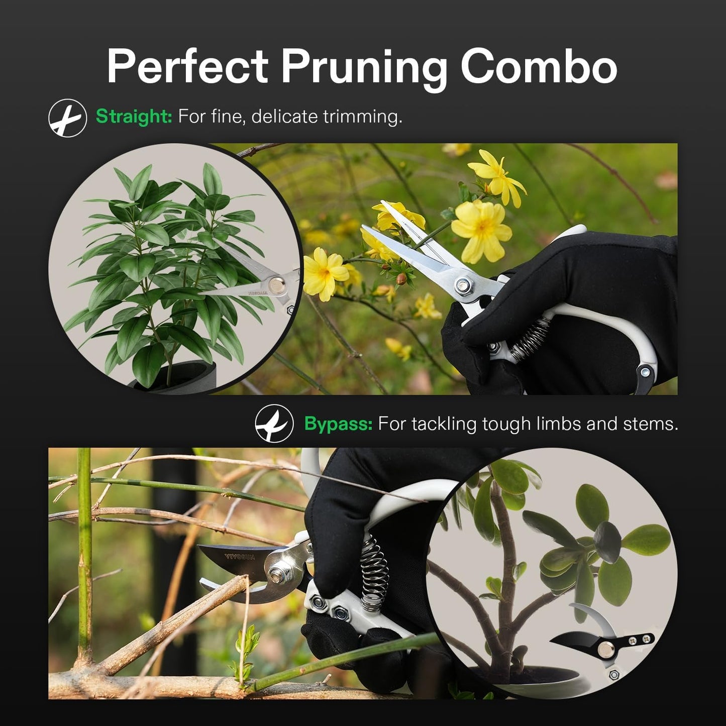 Pruning Shears for Gardening, Q-Shaped Garden Scissors for Plants | Straight Precision Stainless Steel Blades, Comfort Ergonomic Grips, Ideal Snip for Deadheading, Trimming & Shaping Plants