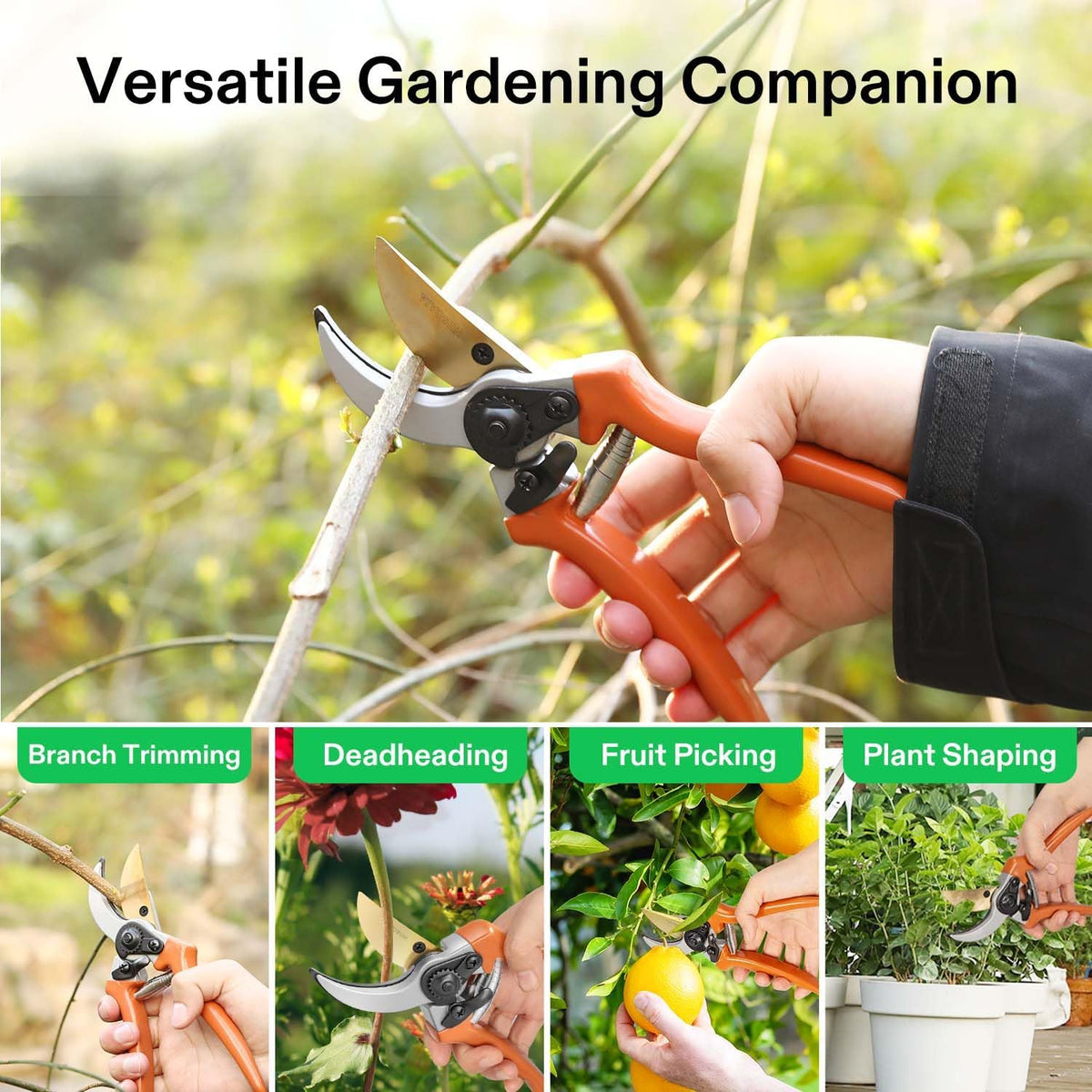Pruning Shears for Gardening, Q-Shaped Garden Scissors for Plants | Straight Precision Stainless Steel Blades, Comfort Ergonomic Grips, Ideal Snip for Deadheading, Trimming & Shaping Plants