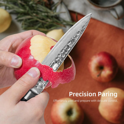 Paring Knife 5 Inch, Damascus Small Kitchen Utility Knife for Fruit, Prep & Travel Use (Raven Series)