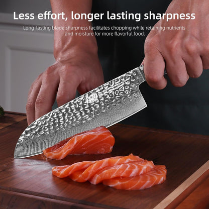 Paring Knife 5 Inch, Damascus Small Kitchen Utility Knife for Fruit, Prep & Travel Use (Raven Series)