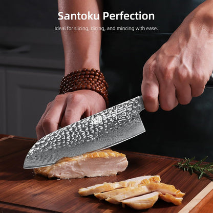 Paring Knife 5 Inch, Damascus Small Kitchen Utility Knife for Fruit, Prep & Travel Use (Raven Series)