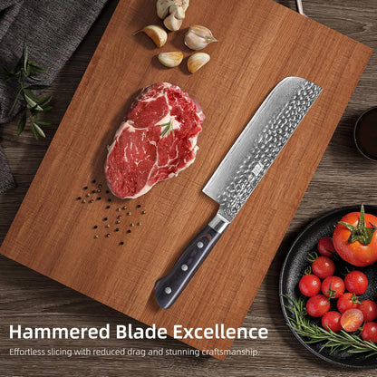 Paring Knife 5 Inch, Damascus Small Kitchen Utility Knife for Fruit, Prep & Travel Use (Raven Series)
