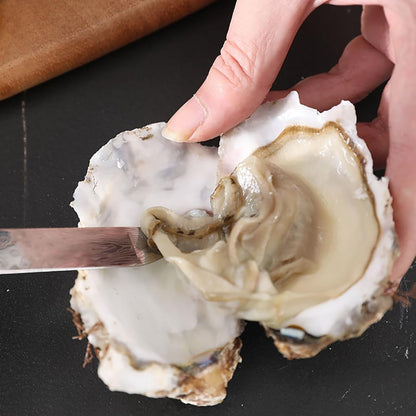 Stainless Steel Oyster Knife Seafood Scallop Shucking Knife Metal Oyster Shucker Clam Shell Opener Tool with Non Slip Handle for Restaurant Home