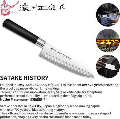 6.3 Inch Deba Knife, Made in Japan, Right-Handed Single Bevel Fish Butcher Knife, High Carbon Stainless Steel with Hammered Finish, Natural Wood Handle for Fish Filleting