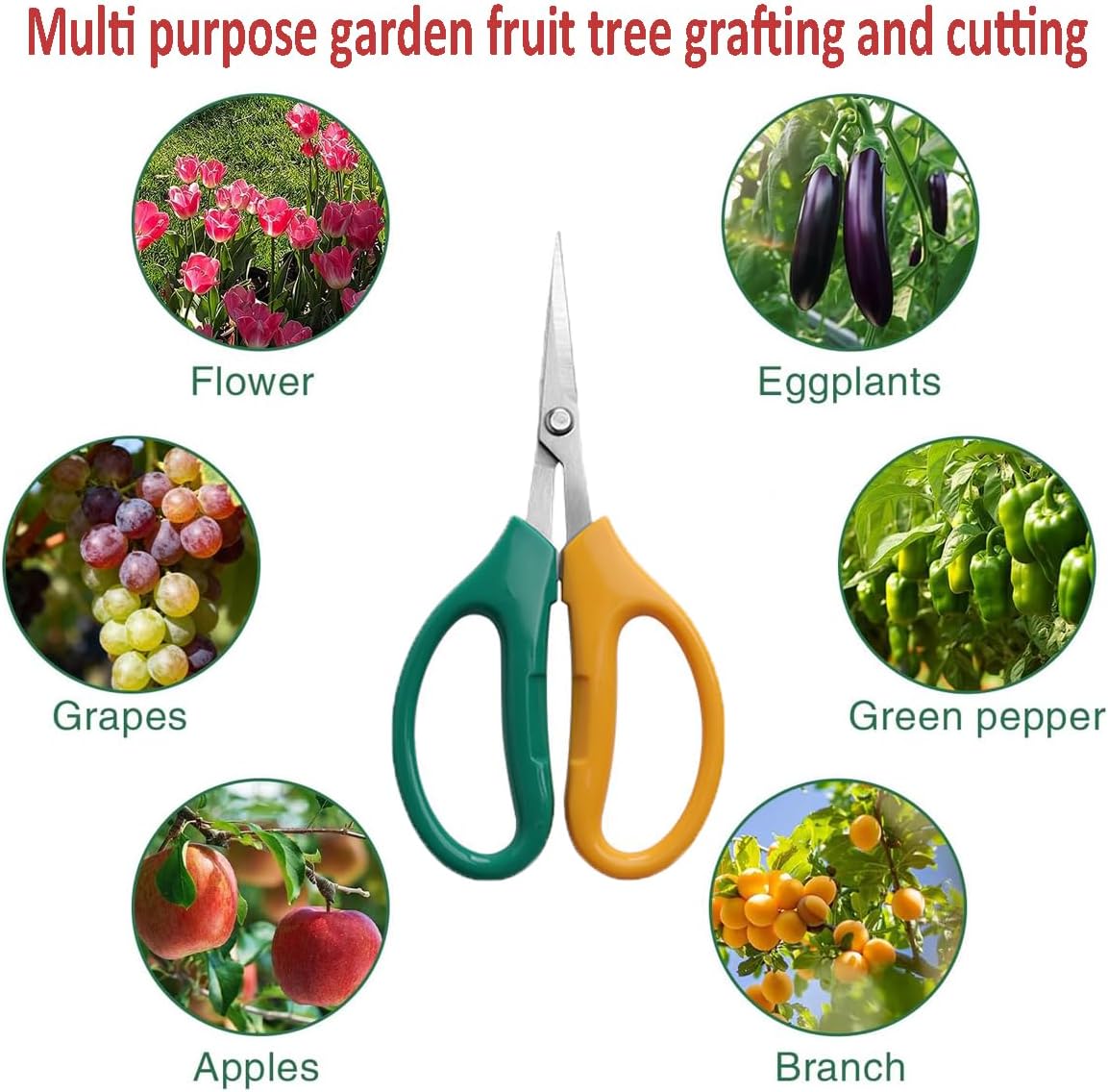 Garden Scissors, Stainless Steel Garden Bonsai Pruning Shears, Anti-Slip Softgrip SnipGardening Tools Garden Shears for Plants Herb (Modern)