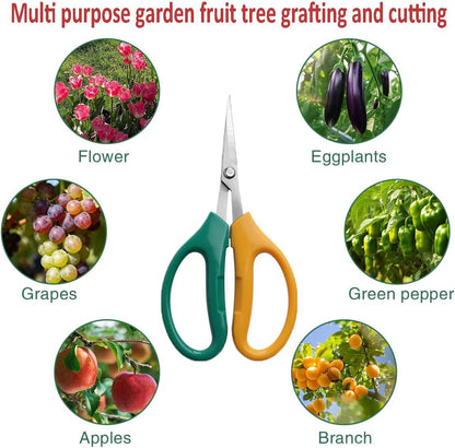 Garden Scissors, Stainless Steel Garden Bonsai Pruning Shears, Anti-Slip Softgrip SnipGardening Tools Garden Shears for Plants Herb (Modern)
