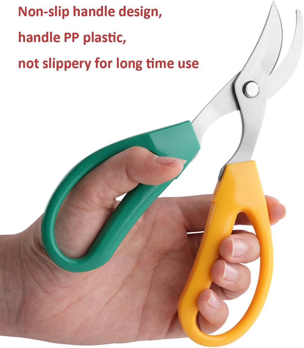 Garden Scissors, Stainless Steel Garden Bonsai Pruning Shears, Anti-Slip Softgrip SnipGardening Tools Garden Shears for Plants Herb (Modern)