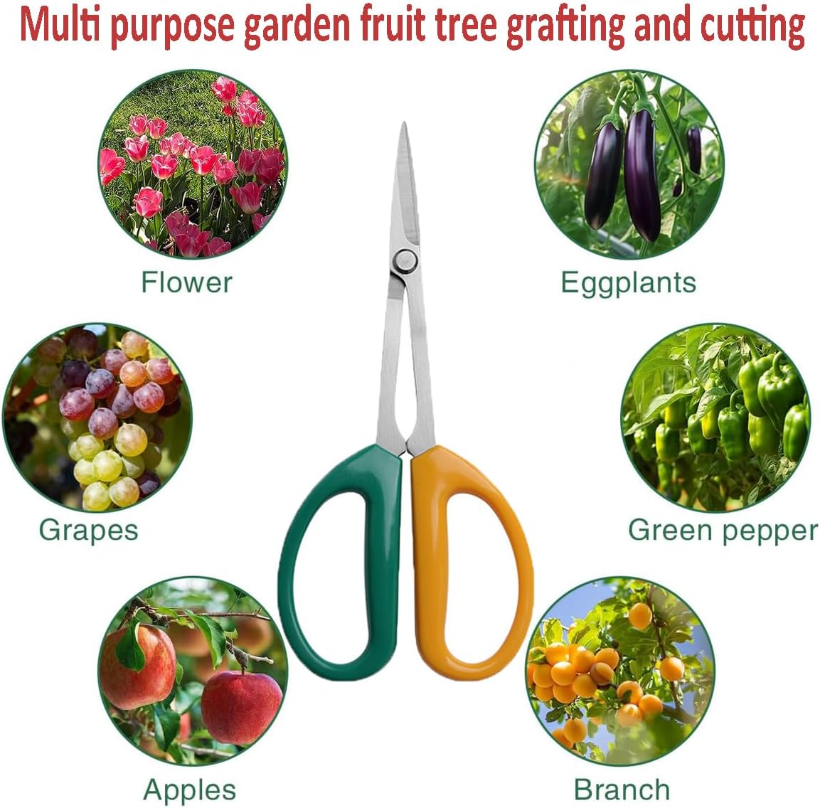 Garden Scissors, Stainless Steel Garden Bonsai Pruning Shears, Anti-Slip Softgrip SnipGardening Tools Garden Shears for Plants Herb (Modern)