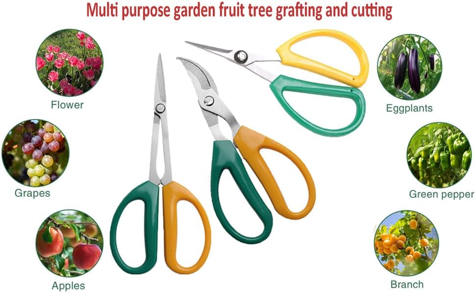 Garden Scissors, Stainless Steel Garden Bonsai Pruning Shears, Anti-Slip Softgrip SnipGardening Tools Garden Shears for Plants Herb (Modern)