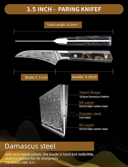 Bird Beak Paring Knife 3.5 Inch, Professional Kitchen Peeling Knife, Ultra Sharp Damascus Powder Steel with Full-tang Resin Handle, Bi Series