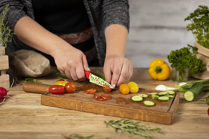 Colori+ Non-Stick Straight Paring Knife with Safety Sheath, 4 inch/10.16 cm Blade, Funky Fruit Citrus