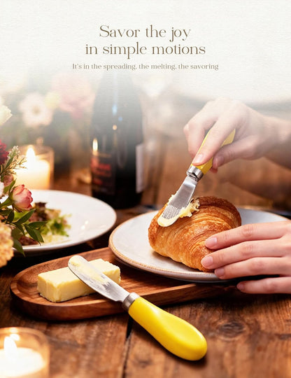 Stainless Steel Butter Spreader Knife 2 Pack with Handle for Kitchen White | Dishwasher Safe, for Soft & Hard Cheese, Jam, Cold Butter