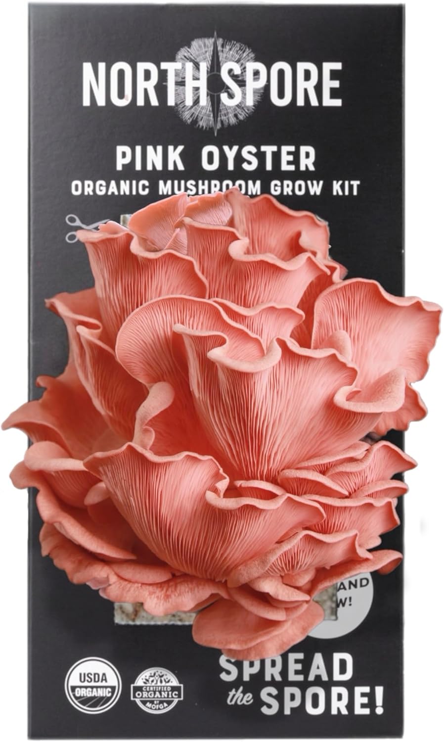 North Spore Organic Pink Oyster Mushroom Grow Kit, 4 lbs | Beginner-friendly Mushroom Spray & Grow Kit, USDA-Certified Organic, Harvest in 14-21 Days, Non-GMO, Handmade in Maine, USA