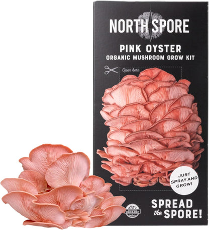 North Spore Organic Pink Oyster Mushroom Grow Kit, 4 lbs | Beginner-friendly Mushroom Spray & Grow Kit, USDA-Certified Organic, Harvest in 14-21 Days, Non-GMO, Handmade in Maine, USA