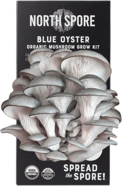 North Spore Organic Pink Oyster Mushroom Grow Kit, 4 lbs | Beginner-friendly Mushroom Spray & Grow Kit, USDA-Certified Organic, Harvest in 14-21 Days, Non-GMO, Handmade in Maine, USA