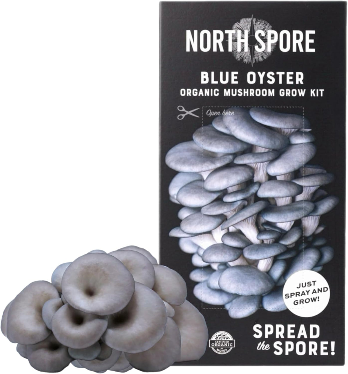 North Spore Organic Pink Oyster Mushroom Grow Kit, 4 lbs | Beginner-friendly Mushroom Spray & Grow Kit, USDA-Certified Organic, Harvest in 14-21 Days, Non-GMO, Handmade in Maine, USA