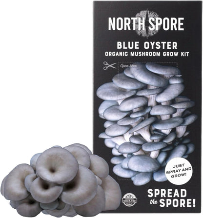 North Spore Organic Pink Oyster Mushroom Grow Kit, 4 lbs | Beginner-friendly Mushroom Spray & Grow Kit, USDA-Certified Organic, Harvest in 14-21 Days, Non-GMO, Handmade in Maine, USA