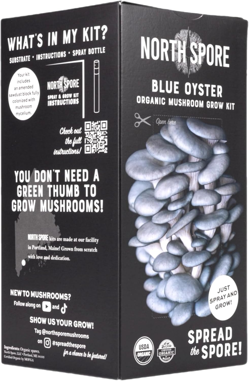 North Spore Organic Pink Oyster Mushroom Grow Kit, 4 lbs | Beginner-friendly Mushroom Spray & Grow Kit, USDA-Certified Organic, Harvest in 14-21 Days, Non-GMO, Handmade in Maine, USA