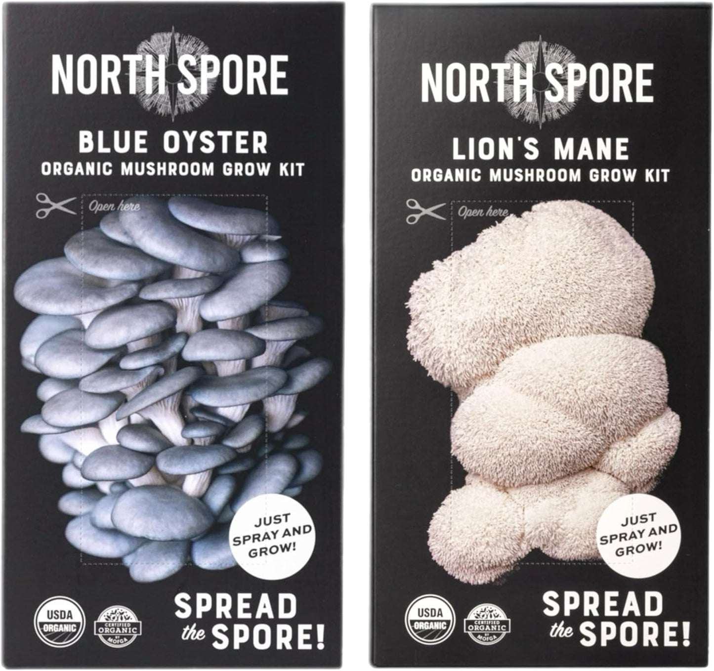 North Spore Organic Pink Oyster Mushroom Grow Kit, 4 lbs | Beginner-friendly Mushroom Spray & Grow Kit, USDA-Certified Organic, Harvest in 14-21 Days, Non-GMO, Handmade in Maine, USA