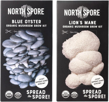 North Spore Organic Pink Oyster Mushroom Grow Kit, 4 lbs | Beginner-friendly Mushroom Spray & Grow Kit, USDA-Certified Organic, Harvest in 14-21 Days, Non-GMO, Handmade in Maine, USA