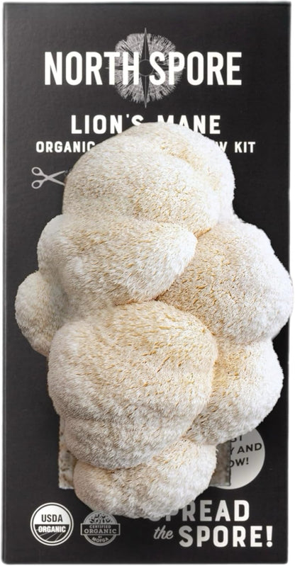 North Spore Organic Pink Oyster Mushroom Grow Kit, 4 lbs | Beginner-friendly Mushroom Spray & Grow Kit, USDA-Certified Organic, Harvest in 14-21 Days, Non-GMO, Handmade in Maine, USA