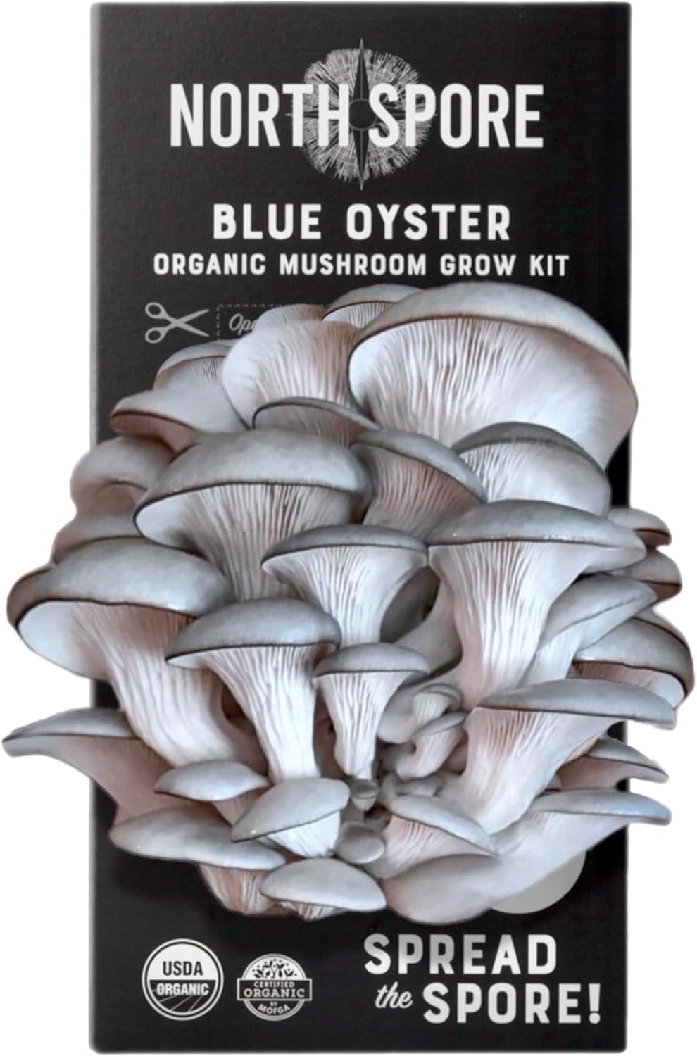 North Spore Organic Pink Oyster Mushroom Grow Kit, 4 lbs | Beginner-friendly Mushroom Spray & Grow Kit, USDA-Certified Organic, Harvest in 14-21 Days, Non-GMO, Handmade in Maine, USA