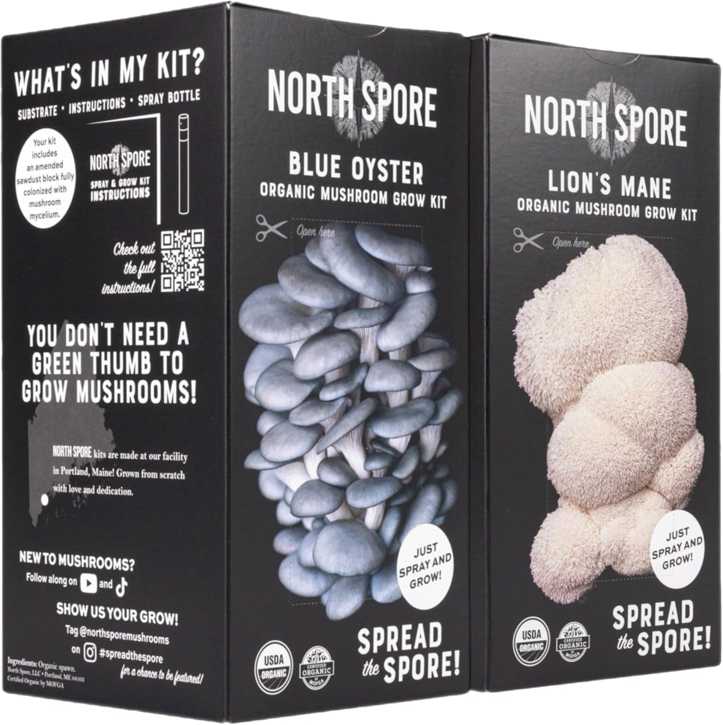 North Spore Organic Pink Oyster Mushroom Grow Kit, 4 lbs | Beginner-friendly Mushroom Spray & Grow Kit, USDA-Certified Organic, Harvest in 14-21 Days, Non-GMO, Handmade in Maine, USA