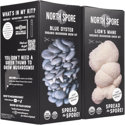 North Spore Organic Pink Oyster Mushroom Grow Kit, 4 lbs | Beginner-friendly Mushroom Spray & Grow Kit, USDA-Certified Organic, Harvest in 14-21 Days, Non-GMO, Handmade in Maine, USA