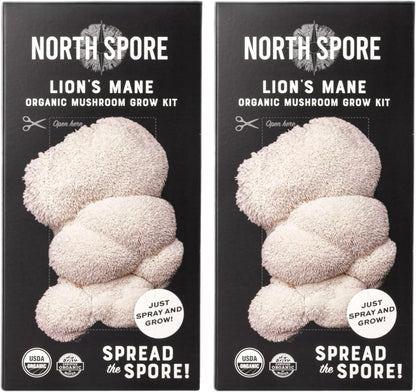 North Spore Organic Pink Oyster Mushroom Grow Kit, 4 lbs | Beginner-friendly Mushroom Spray & Grow Kit, USDA-Certified Organic, Harvest in 14-21 Days, Non-GMO, Handmade in Maine, USA