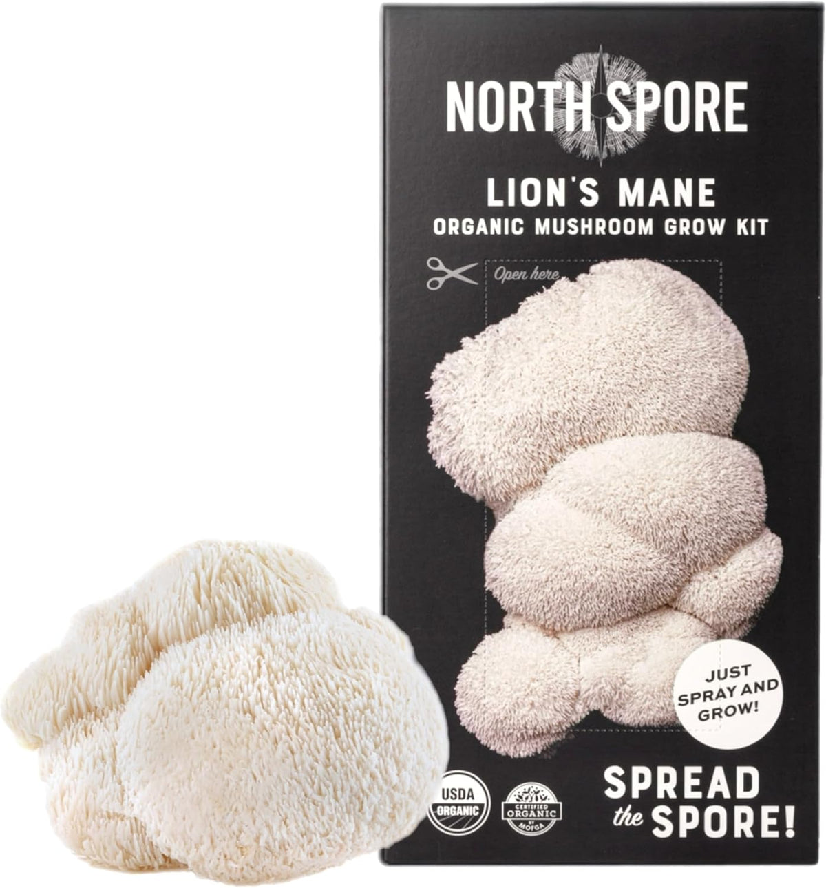 North Spore Organic Pink Oyster Mushroom Grow Kit, 4 lbs | Beginner-friendly Mushroom Spray & Grow Kit, USDA-Certified Organic, Harvest in 14-21 Days, Non-GMO, Handmade in Maine, USA