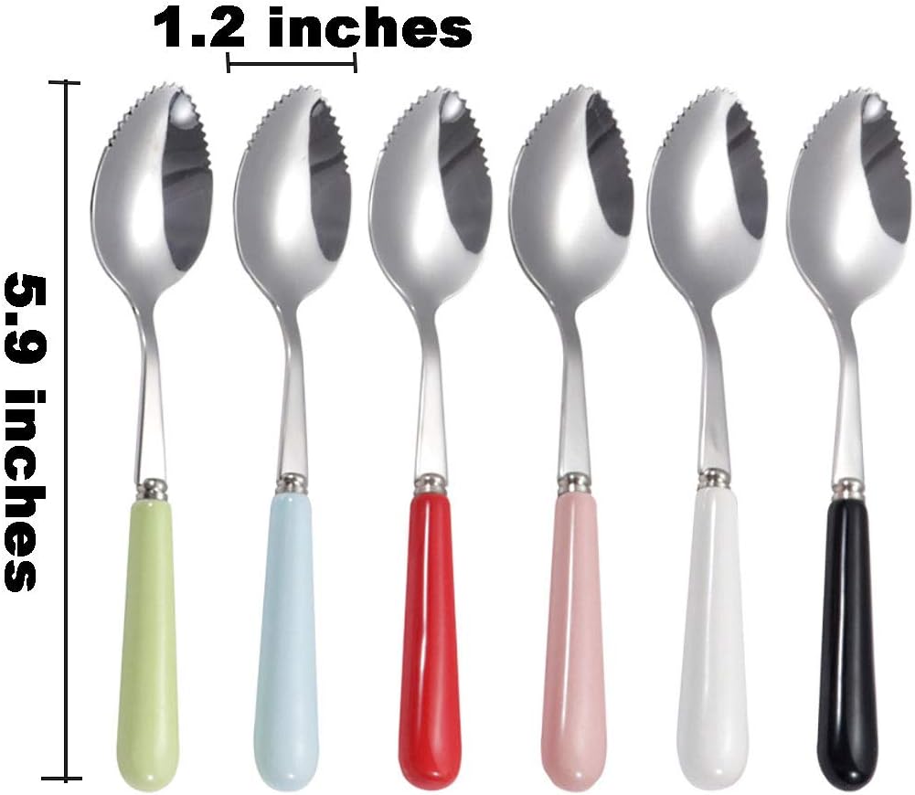 Set of 6 Grapefruit Spoons with Round Serrated Edges, Stainless Steel Serrated Spoon with Multicolor Ceramic Handle, Kiwi Apple Citrus Fruit, Dessert Spoon Sets (Silver)