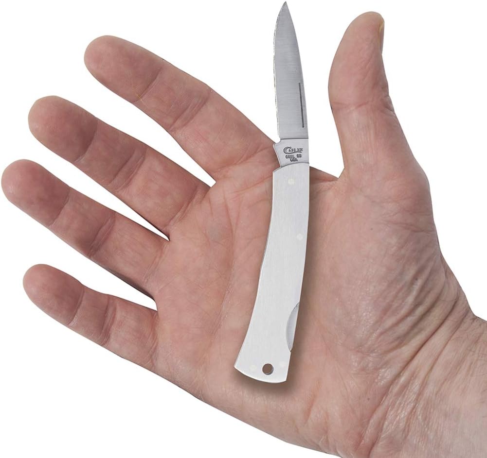 Case Cutlery 00253 Lightweight Mini Blackhorn Pocket Knife with Stainless Steel Blade, Black Synthetic