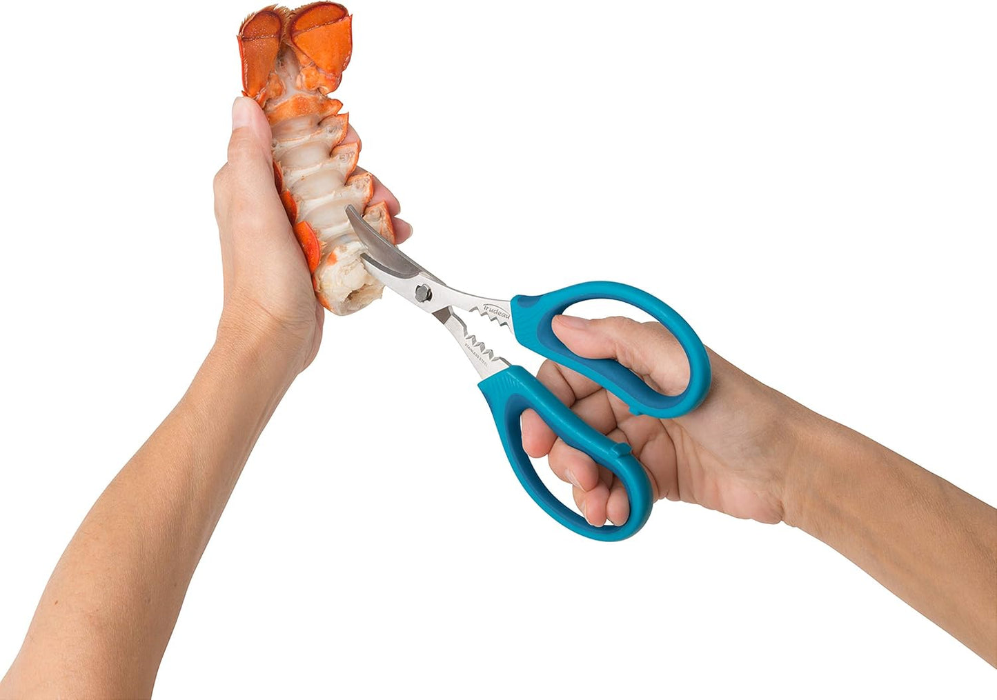 Maison 05115084 Seafood Shears-Blue