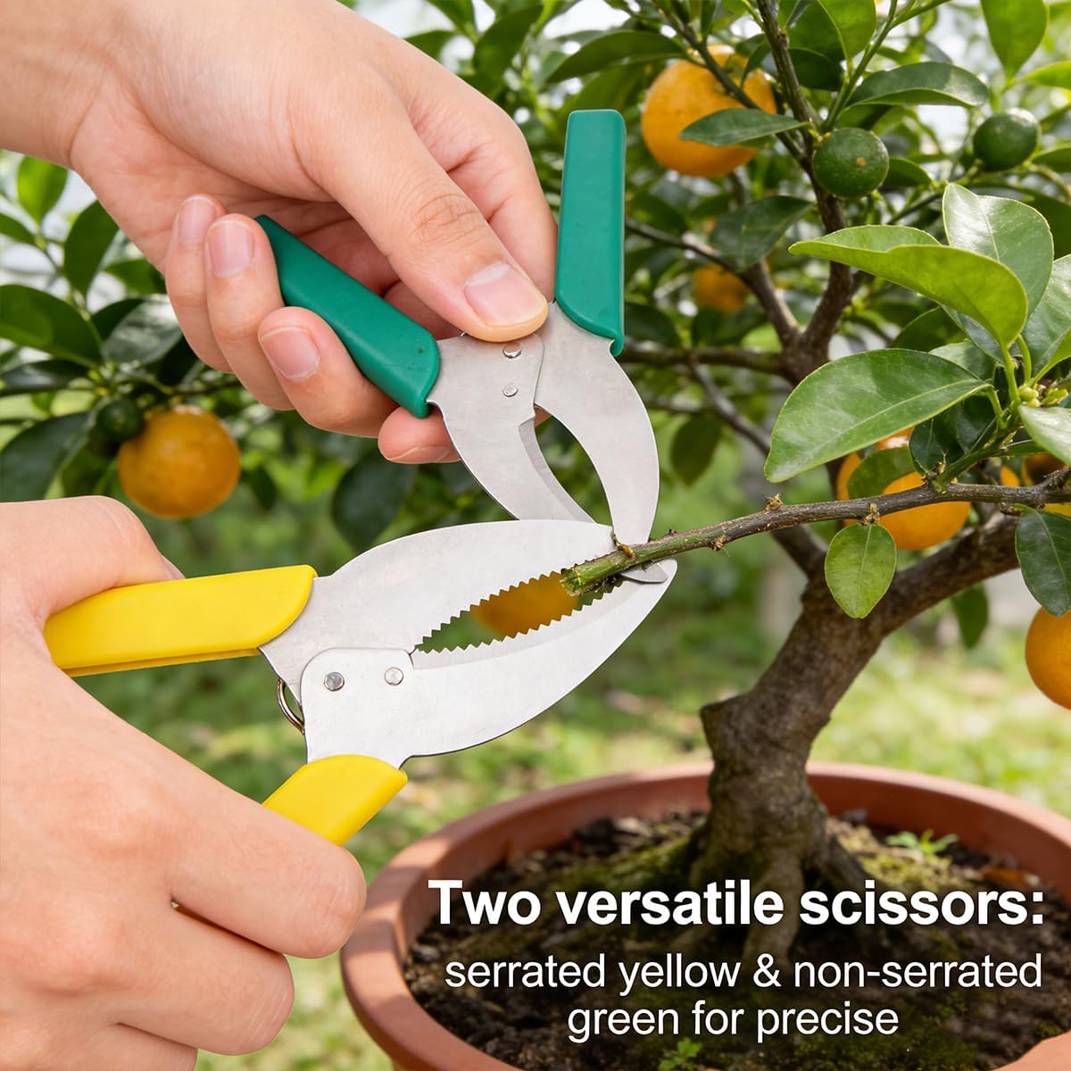 Gardening Scissors Grafting Tool Branch Cutter for Fruit Trees